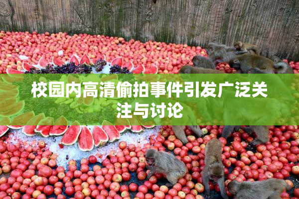 校园内高清偷拍事件引发广泛关注与讨论
