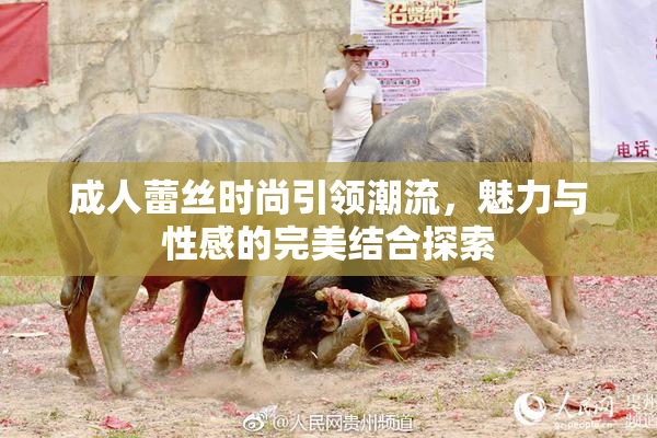 成人蕾丝时尚引领潮流，魅力与性感的完美结合探索