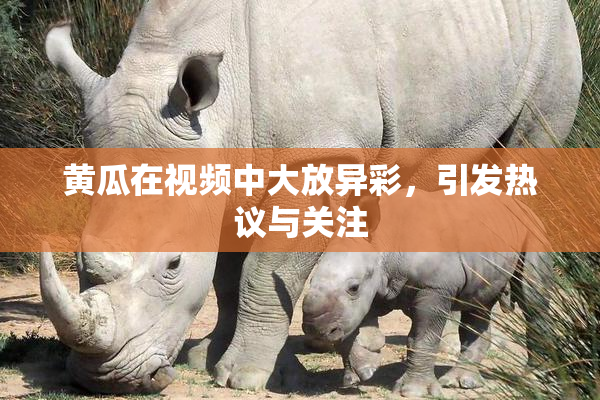 黄瓜在视频中大放异彩，引发热议与关注