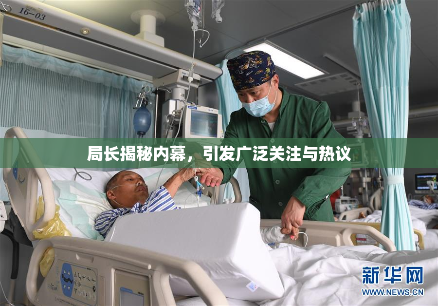 局长揭秘内幕，引发广泛关注与热议