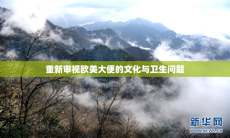 重新审视欧美大便的文化与卫生问题