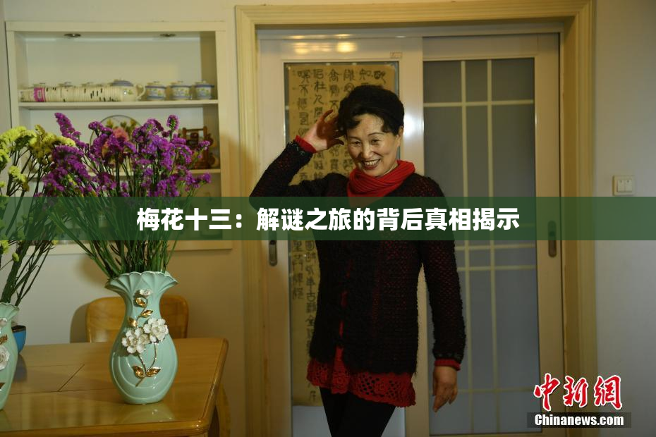 梅花十三：解谜之旅的背后真相揭示