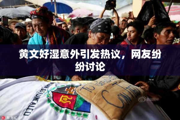 黄文好湿意外引发热议，网友纷纷讨论