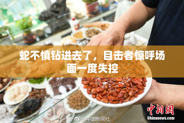 蛇不慎钻进去了，目击者惊呼场面一度失控
