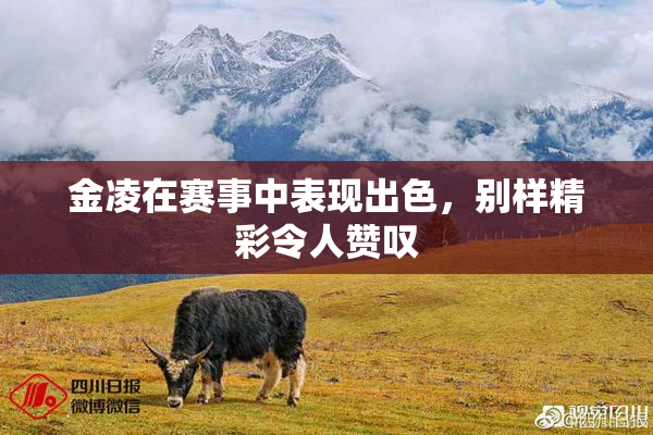 金凌在赛事中表现出色，别样精彩令人赞叹