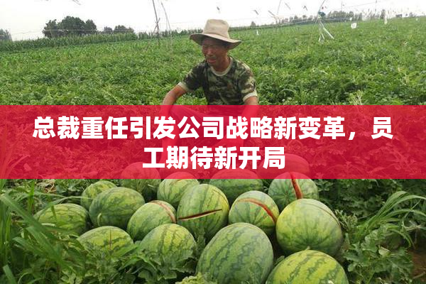 总裁重任引发公司战略新变革，员工期待新开局