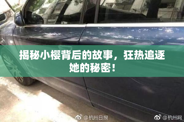 揭秘小樱背后的故事，狂热追逐她的秘密！