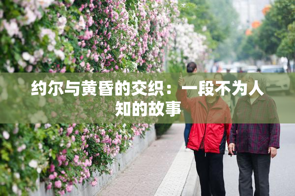 约尔与黄昏的交织：一段不为人知的故事