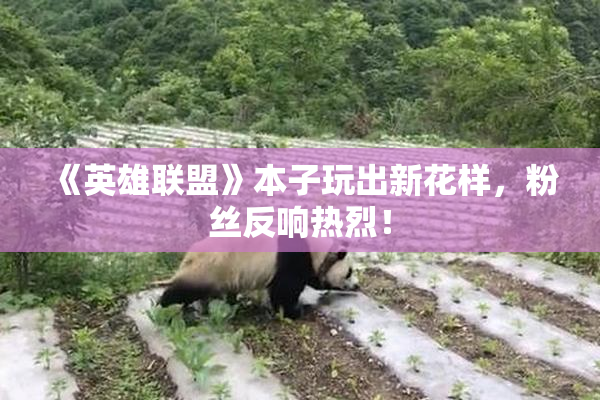 《英雄联盟》本子玩出新花样，粉丝反响热烈！