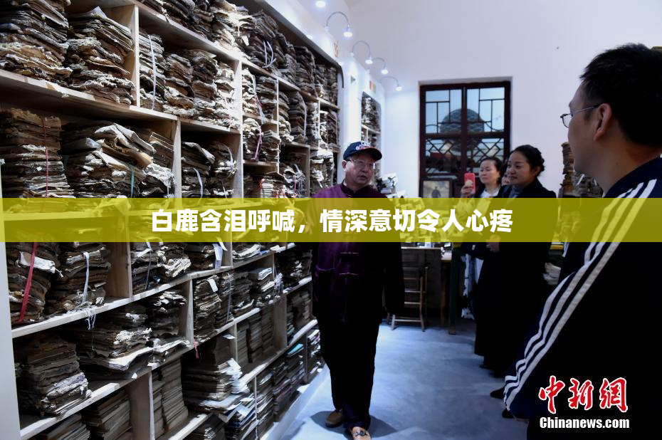 白鹿含泪呼喊，情深意切令人心疼