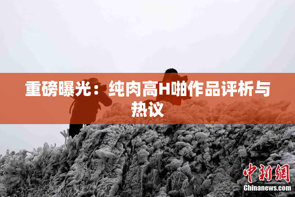 重磅曝光：纯肉高H啪作品评析与热议