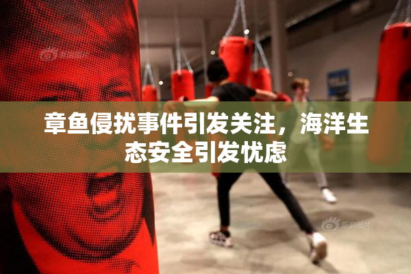 章鱼侵扰事件引发关注，海洋生态安全引发忧虑