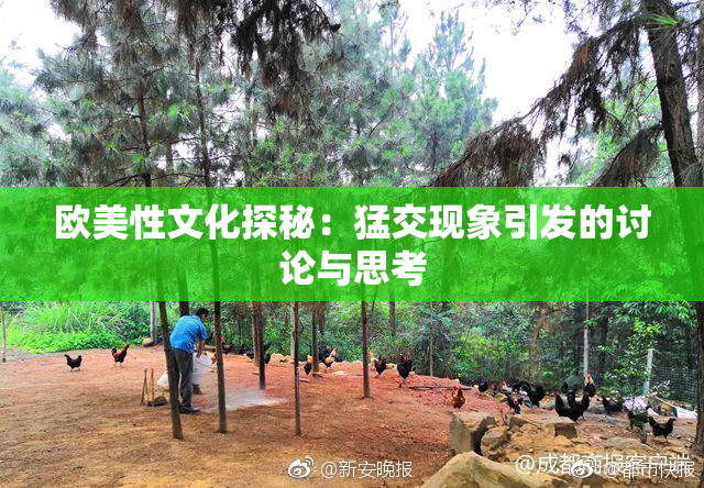 欧美性文化探秘：猛交现象引发的讨论与思考