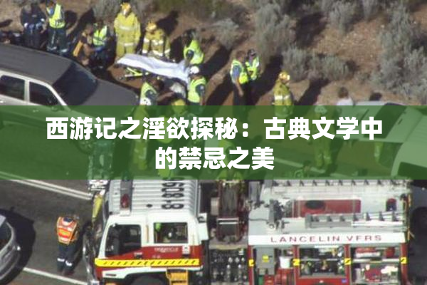 西游记之淫欲探秘：古典文学中的禁忌之美