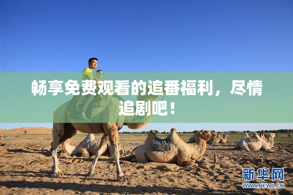 畅享免费观看的追番福利，尽情追剧吧！