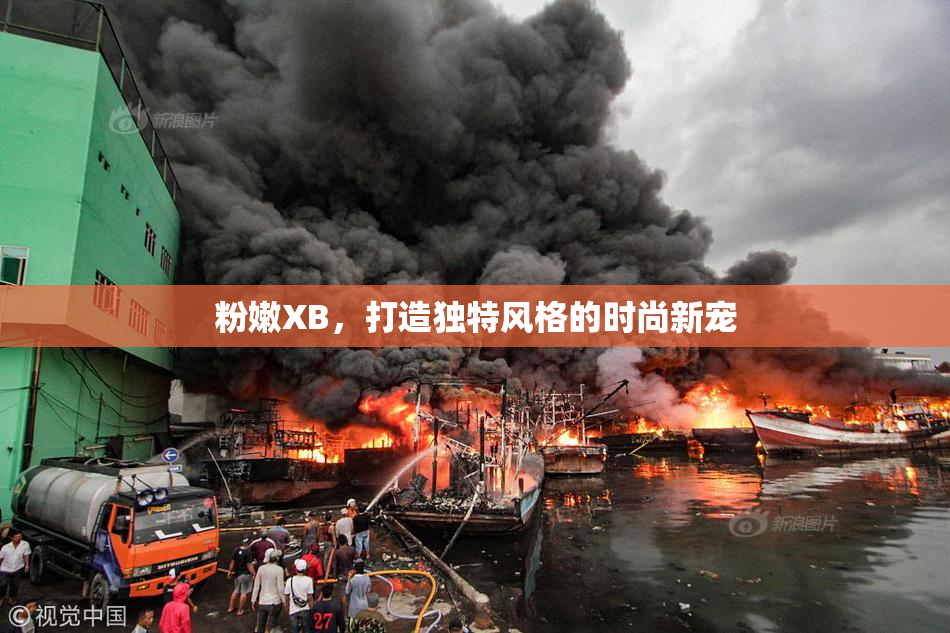 粉嫩XB，打造独特风格的时尚新宠