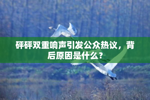 砰砰双重响声引发公众热议，背后原因是什么？