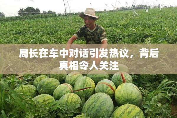 局长在车中对话引发热议，背后真相令人关注