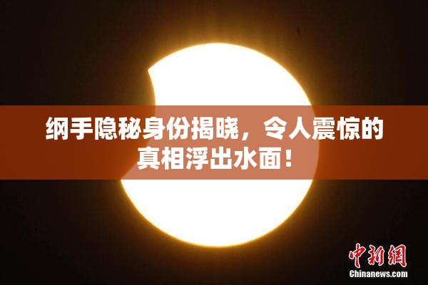 纲手隐秘身份揭晓，令人震惊的真相浮出水面！