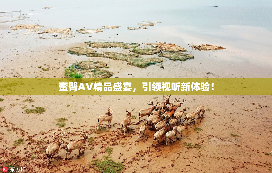 蜜臀AV精品盛宴，引领视听新体验！
