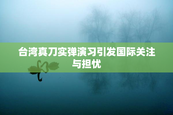 台湾真刀实弹演习引发国际关注与担忧