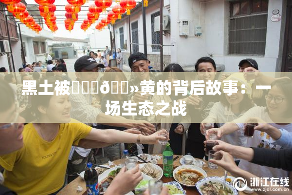 黑土被❌‌‌🐻黄的背后故事：一场生态之战