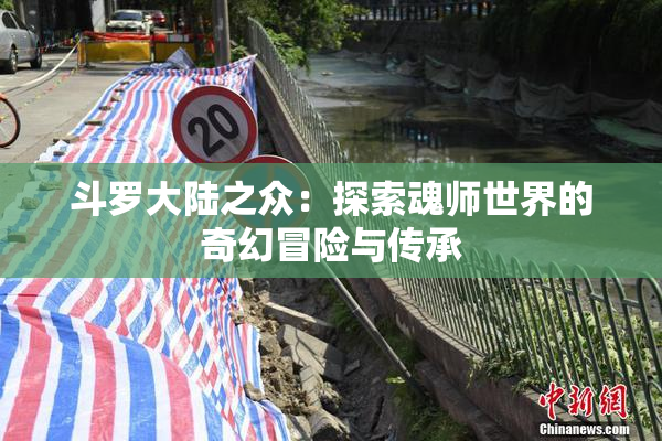 斗罗大陆之众：探索魂师世界的奇幻冒险与传承