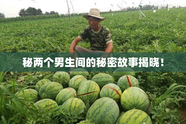 秘两个男生间的秘密故事揭晓！
