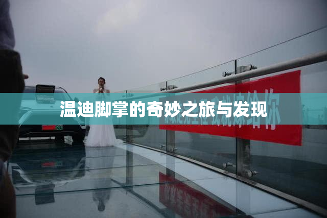 温迪脚掌的奇妙之旅与发现