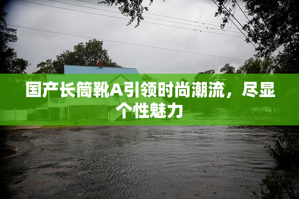 国产长筒靴A引领时尚潮流，尽显个性魅力