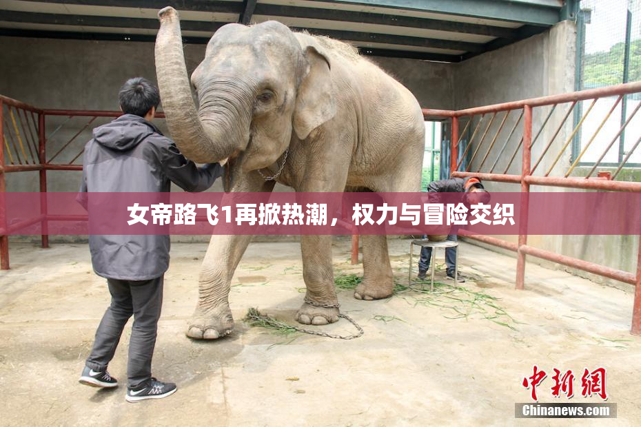 女帝路飞1再掀热潮，权力与冒险交织