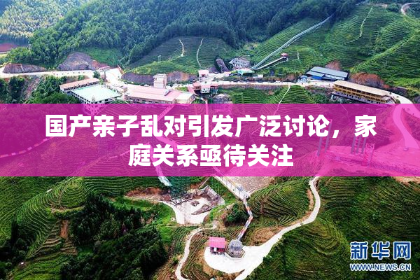 国产亲子乱对引发广泛讨论，家庭关系亟待关注