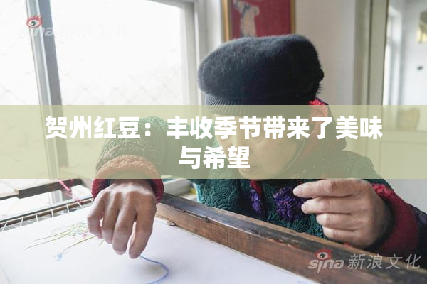 贺州红豆：丰收季节带来了美味与希望