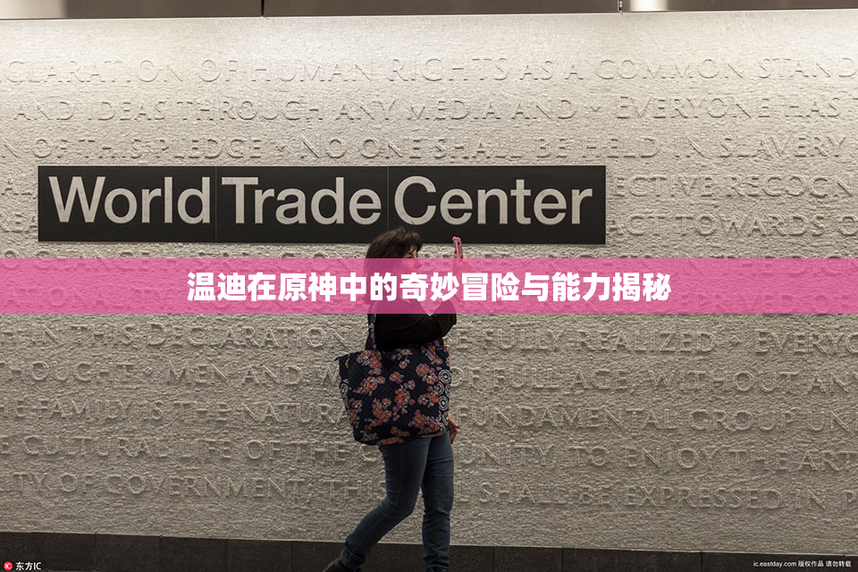 温迪在原神中的奇妙冒险与能力揭秘