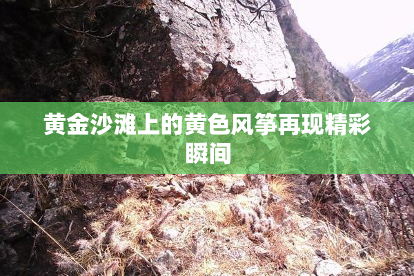 黄金沙滩上的黄色风筝再现精彩瞬间