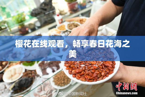 樱花在线观看，畅享春日花海之美