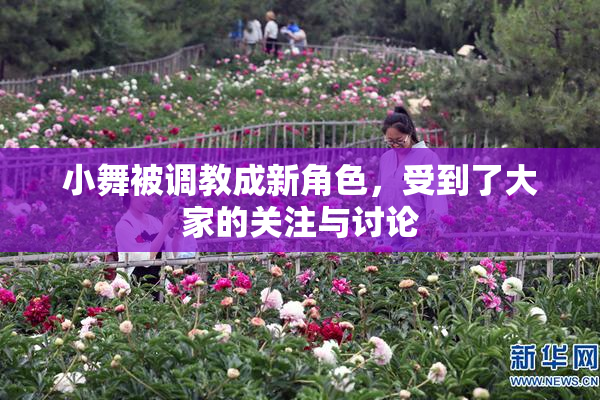 小舞被调教成新角色，受到了大家的关注与讨论