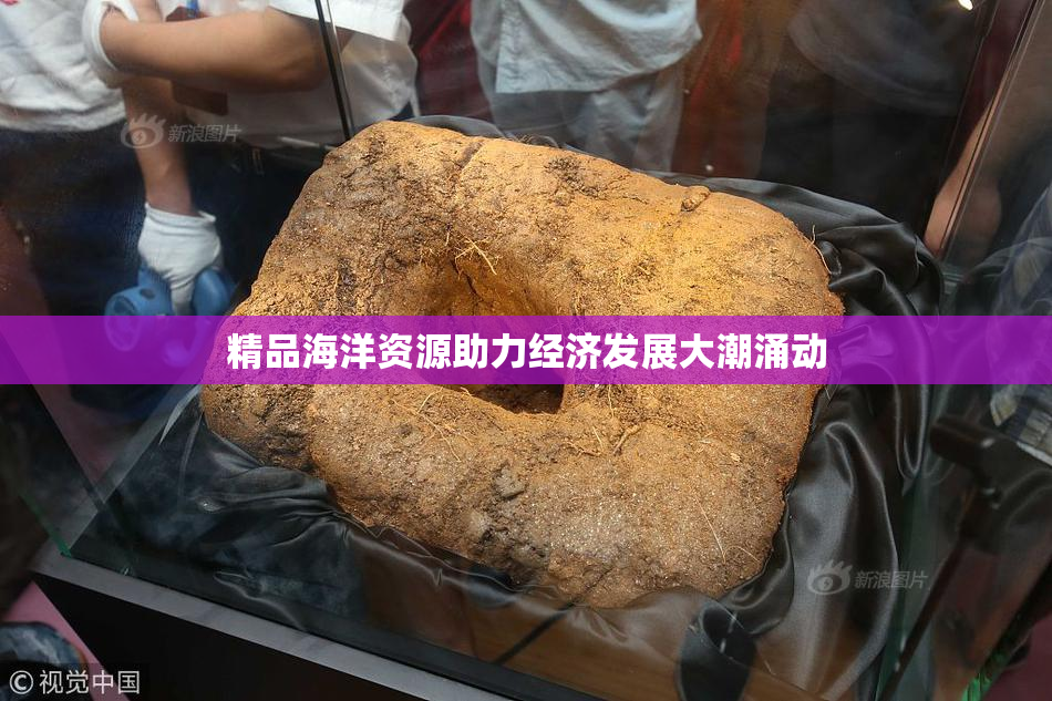 精品海洋资源助力经济发展大潮涌动