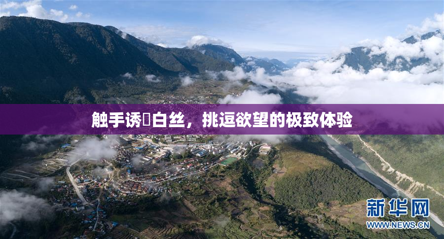 触手诱奷白丝，挑逗欲望的极致体验