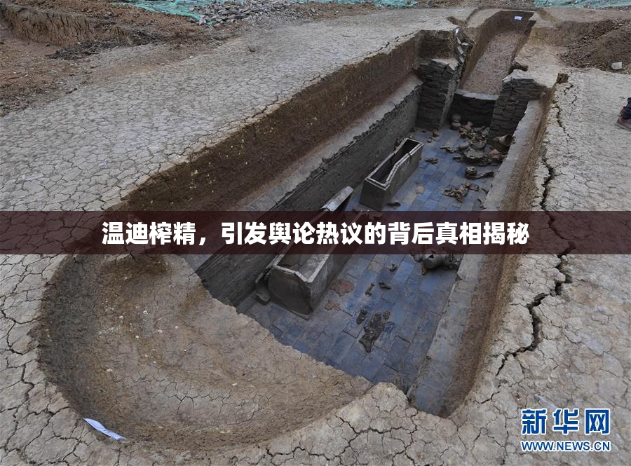温迪榨精，引发舆论热议的背后真相揭秘