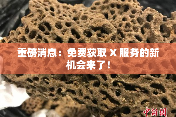 重磅消息：免费获取 X 服务的新机会来了！