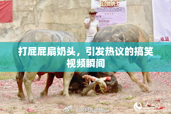 打屁屁扇奶头，引发热议的搞笑视频瞬间