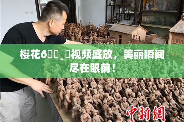 樱花🌸‌视频盛放，美丽瞬间尽在眼前！