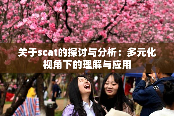 关于scat的探讨与分析：多元化视角下的理解与应用