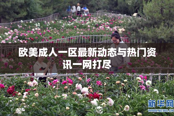 欧美成人一区最新动态与热门资讯一网打尽