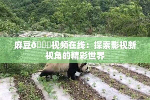 麻豆🔞视频在线：探索影视新视角的精彩世界