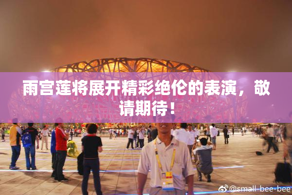 雨宫莲将展开精彩绝伦的表演，敬请期待！