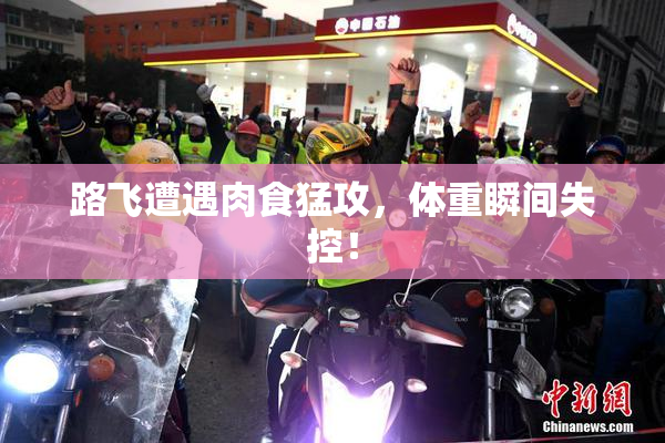 路飞遭遇肉食猛攻，体重瞬间失控！