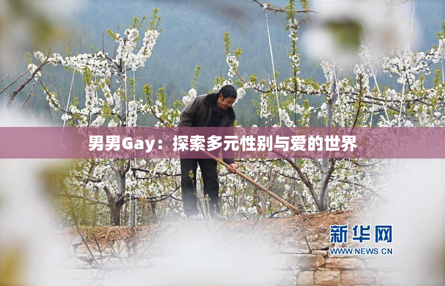 男男Gay：探索多元性别与爱的世界