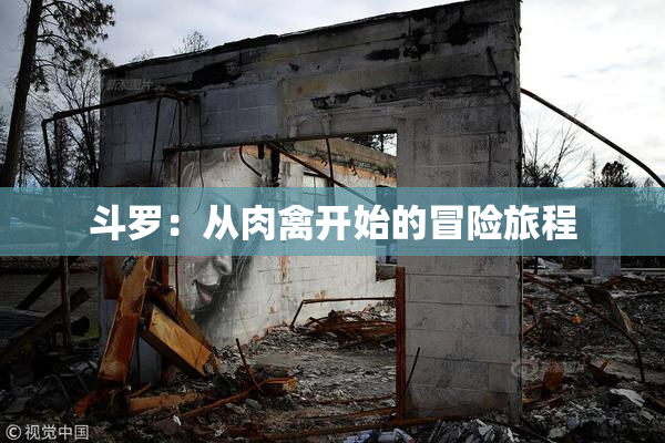 斗罗：从肉禽开始的冒险旅程